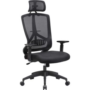 Ergonomiška biuro ir darbo kėdė su juosmens atrama, reguliuojama galvos atrama ir porankiais, 68x65x(118.5-128) cm
